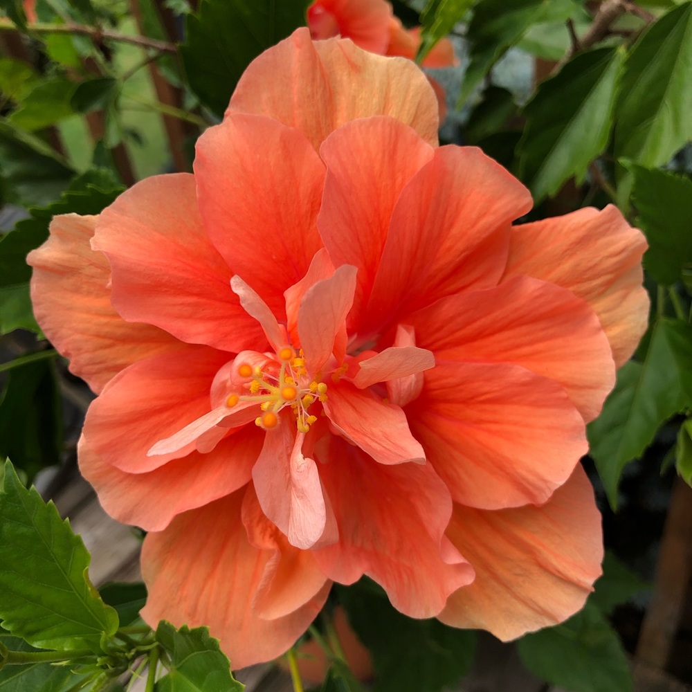 Meet your Posher, April